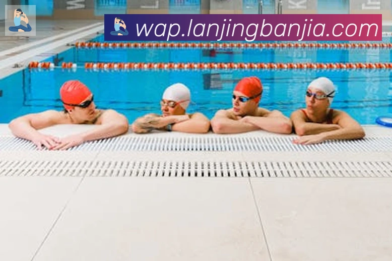 kaiyun官方网站登录入口APP 封面图